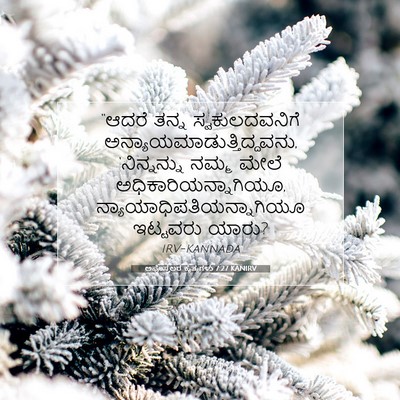 Picture 07 - ಅಪೊಸ್ತಲರ ಕೃತ್ಯಗಳು 7:27 KANIRV - “ಆದರೆ ತನ್ನ - Bible Verse Picture