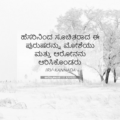 Picture 07 - ಅರಣ್ಯಕಾಂಡ 1:17 KANIRV - ಹೆಸರಿನಿಂದ - Bible Verse Picture