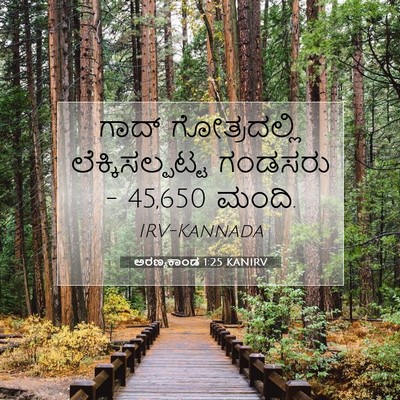 Picture 07 - ಅರಣ್ಯಕಾಂಡ 1:25 KANIRV - ಗಾದ್ ಗೋತ್ರದಲ್ಲಿ - Bible Verse Picture