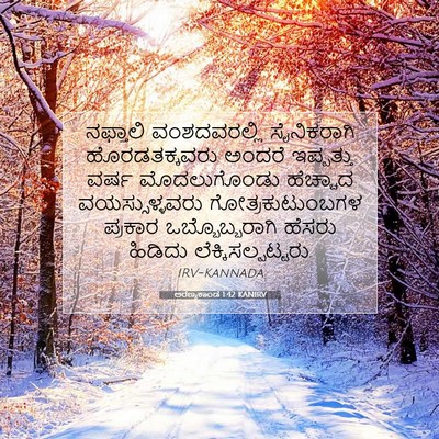 Picture 07 - ಅರಣ್ಯಕಾಂಡ 1:42 KANIRV - ನಫ್ತಾಲಿ - Bible Verse Picture
