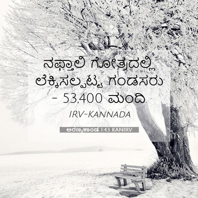 Picture 07 - ಅರಣ್ಯಕಾಂಡ 1:43 KANIRV - ನಫ್ತಾಲಿ - Bible Verse Picture