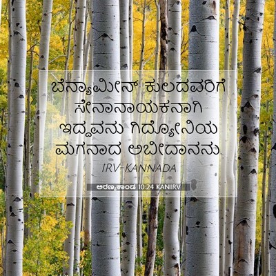Picture 07 - ಅರಣ್ಯಕಾಂಡ 10:24 KANIRV - ಬೆನ್ಯಾಮೀನ್ - Bible Verse Picture