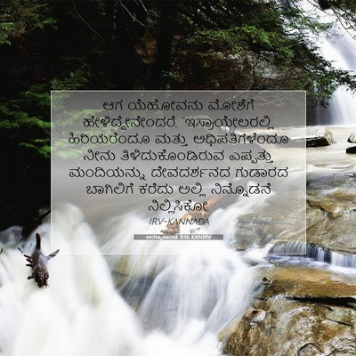 Picture 07 - ಅರಣ್ಯಕಾಂಡ 11:16 KANIRV - ಆಗ ಯೆಹೋವನು ಮೋಶೆಗೆ - Bible Verse Picture