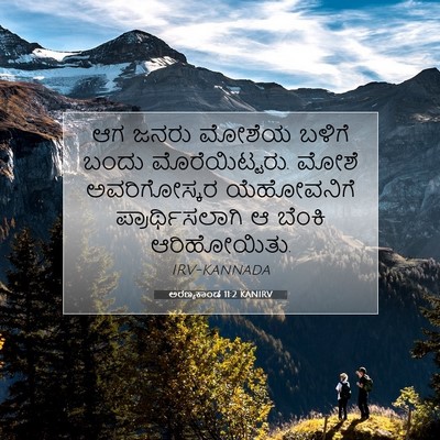Picture 07 - ಅರಣ್ಯಕಾಂಡ 11:2 KANIRV - ಆಗ ಜನರು ಮೋಶೆಯ - Bible Verse Picture