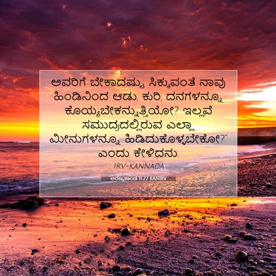 Picture 07 - ಅರಣ್ಯಕಾಂಡ 11:22 KANIRV - ಅವರಿಗೆ ಬೇಕಾದಷ್ಟು - Bible Verse Picture