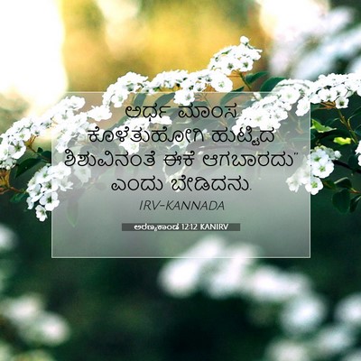 Picture 07 - ಅರಣ್ಯಕಾಂಡ 12:12 KANIRV - ಅರ್ಧ ಮಾಂಸ - Bible Verse Picture