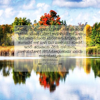 Picture 07 - ಅರಣ್ಯಕಾಂಡ 12:14 KANIRV - ಅದಕ್ಕೆ ಯೆಹೋವನು - Bible Verse Picture