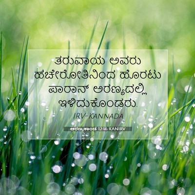 Picture 07 - ಅರಣ್ಯಕಾಂಡ 12:16 KANIRV - ತರುವಾಯ ಅವರು - Bible Verse Picture