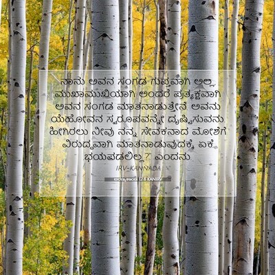 Picture 07 - ಅರಣ್ಯಕಾಂಡ 12:8 KANIRV - ನಾನು ಅವನ ಸಂಗಡ - Bible Verse Picture