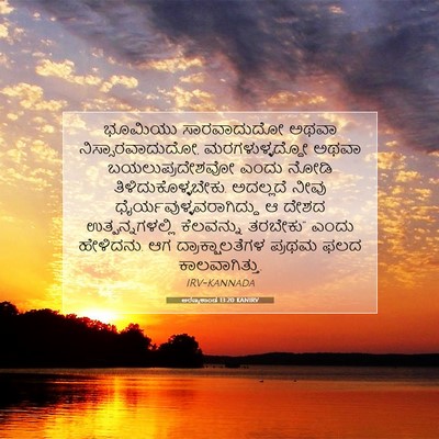 Picture 07 - ಅರಣ್ಯಕಾಂಡ 13:20 KANIRV - ಭೂಮಿಯು ಸಾರವಾದುದೋ - Bible Verse Picture