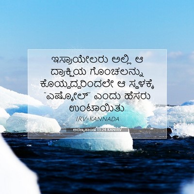 Picture 07 - ಅರಣ್ಯಕಾಂಡ 13:24 KANIRV - ಇಸ್ರಾಯೇಲರು ಅಲ್ಲಿ - Bible Verse Picture