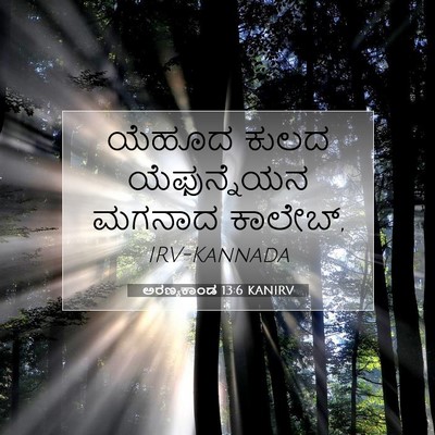 Picture 07 - ಅರಣ್ಯಕಾಂಡ 13:6 KANIRV - ಯೆಹೂದ ಕುಲದ - Bible Verse Picture
