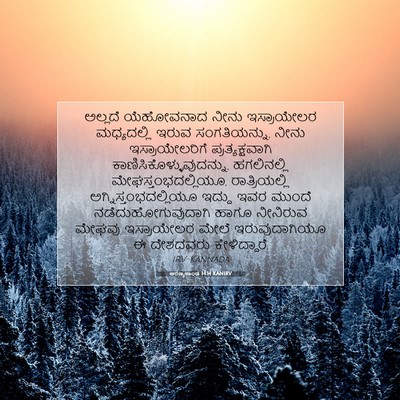 Picture 07 - ಅರಣ್ಯಕಾಂಡ 14:14 KANIRV - ಅಲ್ಲದೆ ಯೆಹೋವನಾದ - Bible Verse Picture