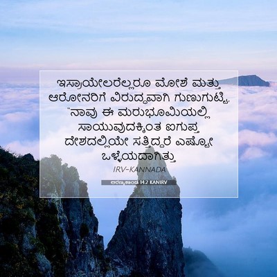Picture 07 - ಅರಣ್ಯಕಾಂಡ 14:2 KANIRV - ಇಸ್ರಾಯೇಲರೆಲ್ಲರೂ - Bible Verse Picture