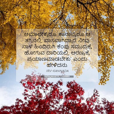 Picture 07 - ಅರಣ್ಯಕಾಂಡ 14:25 KANIRV - ಅಮಾಲೇಕ್ಯರೂ, - Bible Verse Picture