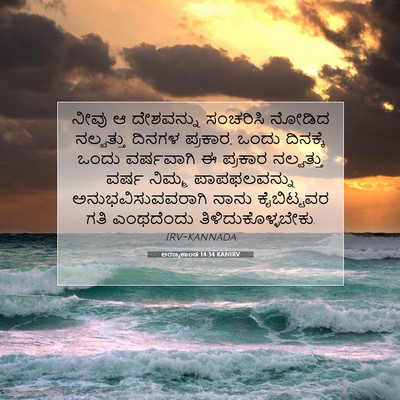 Picture 07 - ಅರಣ್ಯಕಾಂಡ 14:34 KANIRV - ನೀವು ಆ ದೇಶವನ್ನು - Bible Verse Picture