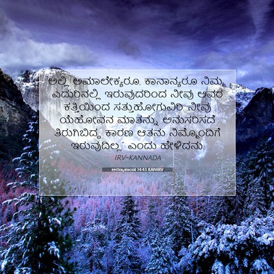Picture 07 - ಅರಣ್ಯಕಾಂಡ 14:43 KANIRV - ಅಲ್ಲಿ ಅಮಾಲೇಕ್ಯರೂ, - Bible Verse Picture