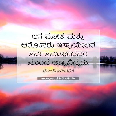 Picture 07 - ಅರಣ್ಯಕಾಂಡ 14:5 KANIRV - ಆಗ ಮೋಶೆ ಮತ್ತು - Bible Verse Picture