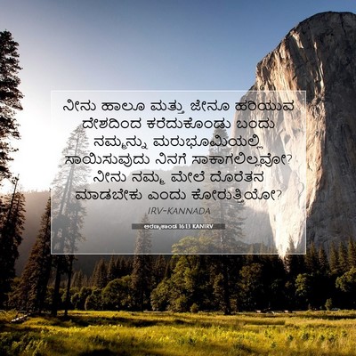 Picture 07 - ಅರಣ್ಯಕಾಂಡ 16:13 KANIRV - ನೀನು ಹಾಲೂ ಮತ್ತು - Bible Verse Picture