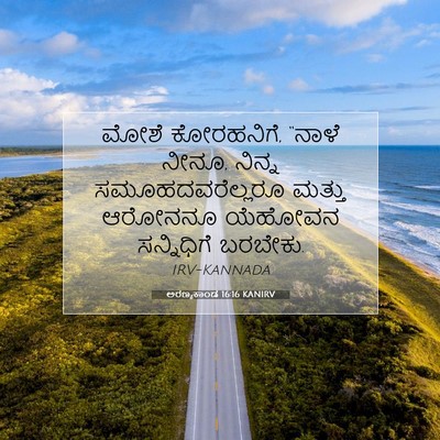 Picture 07 - ಅರಣ್ಯಕಾಂಡ 16:16 KANIRV - ಮೋಶೆ ಕೋರಹನಿಗೆ, - Bible Verse Picture