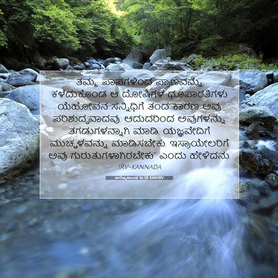 Picture 07 - ಅರಣ್ಯಕಾಂಡ 16:38 KANIRV - ತಮ್ಮ ಪಾಪಗಳಿಂದ - Bible Verse Picture