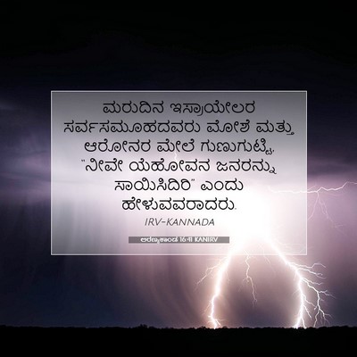 Picture 07 - ಅರಣ್ಯಕಾಂಡ 16:41 KANIRV - ಮರುದಿನ ಇಸ್ರಾಯೇಲರ - Bible Verse Picture