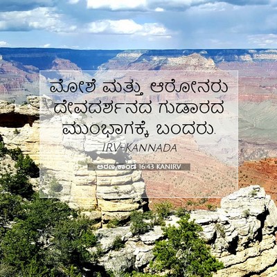 Picture 07 - ಅರಣ್ಯಕಾಂಡ 16:43 KANIRV - ಮೋಶೆ ಮತ್ತು ಆರೋನರು - Bible Verse Picture