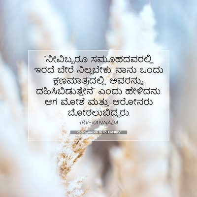 Picture 07 - ಅರಣ್ಯಕಾಂಡ 16:45 KANIRV - “ನೀವಿಬ್ಬರೂ - Bible Verse Picture