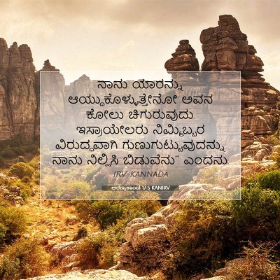 Picture 07 - ಅರಣ್ಯಕಾಂಡ 17:5 KANIRV - ನಾನು ಯಾರನ್ನು - Bible Verse Picture