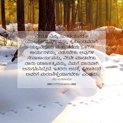 Picture 07 - ಅರಣ್ಯಕಾಂಡ 18:7 KANIRV - ನೀನೂ, ನಿನ್ನ - Bible Verse Picture