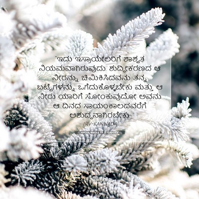 Picture 07 - ಅರಣ್ಯಕಾಂಡ 19:21 KANIRV - “ಇದು ಇಸ್ರಾಯೇಲರಿಗೆ - Bible Verse Picture