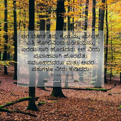 Picture 07 - ಅರಣ್ಯಕಾಂಡ 20:11 KANIRV - ಆಗ ಮೋಶೆ ತನ್ನ - Bible Verse Picture