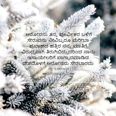 Picture 07 - ಅರಣ್ಯಕಾಂಡ 20:24 KANIRV - “ಆರೋನನು ತನ್ನ - Bible Verse Picture