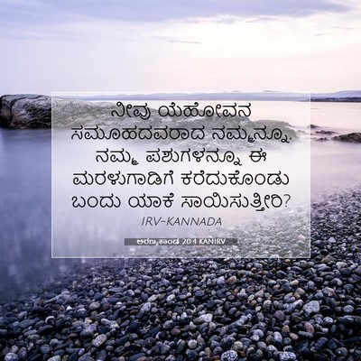 Picture 07 - ಅರಣ್ಯಕಾಂಡ 20:4 KANIRV - ನೀವು ಯೆಹೋವನ - Bible Verse Picture
