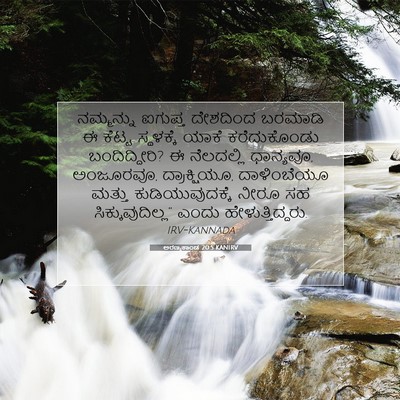 Picture 07 - ಅರಣ್ಯಕಾಂಡ 20:5 KANIRV - ನಮ್ಮನ್ನು ಐಗುಪ್ತ - Bible Verse Picture