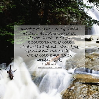 Picture 07 - ಅರಣ್ಯಕಾಂಡ 21:24 KANIRV - ಇಸ್ರಾಯೇಲರು ಅವನ - Bible Verse Picture