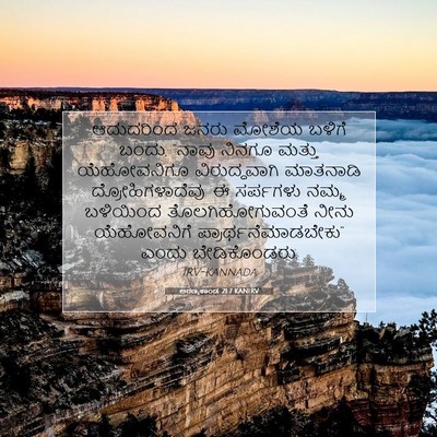 Picture 07 - ಅರಣ್ಯಕಾಂಡ 21:7 KANIRV - ಆದುದರಿಂದ ಜನರು - Bible Verse Picture