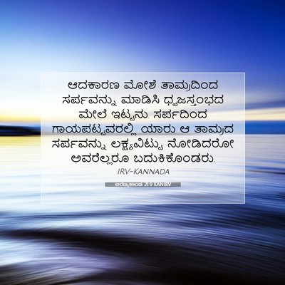 Picture 07 - ಅರಣ್ಯಕಾಂಡ 21:9 KANIRV - ಆದಕಾರಣ ಮೋಶೆ - Bible Verse Picture