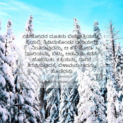 Picture 07 - ಅರಣ್ಯಕಾಂಡ 22:23 KANIRV - ಯೆಹೋವನ ದೂತನು - Bible Verse Picture