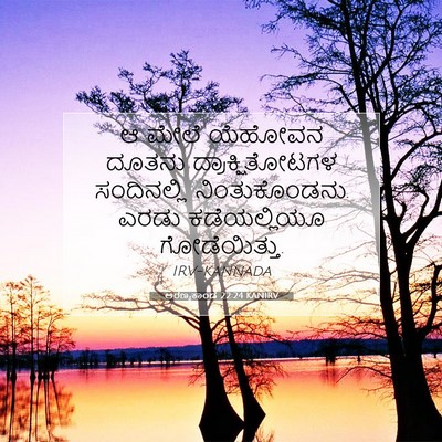 Picture 07 - ಅರಣ್ಯಕಾಂಡ 22:24 KANIRV - ಆ ಮೇಲೆ ಯೆಹೋವನ - Bible Verse Picture
