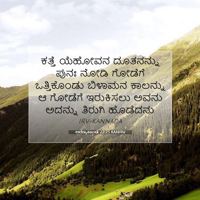 Picture 07 - ಅರಣ್ಯಕಾಂಡ 22:25 KANIRV - ಕತ್ತೆ ಯೆಹೋವನ - Bible Verse Picture