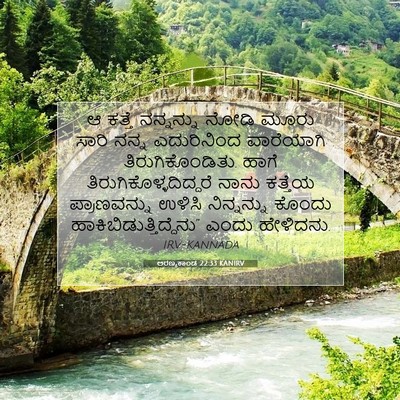 Picture 07 - ಅರಣ್ಯಕಾಂಡ 22:33 KANIRV - ಆ ಕತ್ತೆ ನನ್ನನ್ನು - Bible Verse Picture