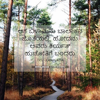 Picture 07 - ಅರಣ್ಯಕಾಂಡ 22:39 KANIRV - ಆಗ ಬಿಳಾಮನು ಬಾಲಾಕನ - Bible Verse Picture