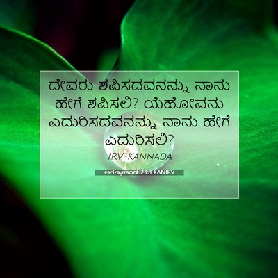 Picture 07 - ಅರಣ್ಯಕಾಂಡ 23:8 KANIRV - ದೇವರು ಶಪಿಸದವನನ್ನು - Bible Verse Picture