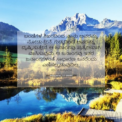 Picture 07 - ಅರಣ್ಯಕಾಂಡ 23:9 KANIRV - ಬಂಡೆಗಳ ಶಿಖರದಿಂದ - Bible Verse Picture