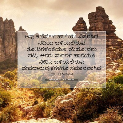 Picture 07 - ಅರಣ್ಯಕಾಂಡ 24:6 KANIRV - ಅವು ಕಣಿವೆಗಳ - Bible Verse Picture