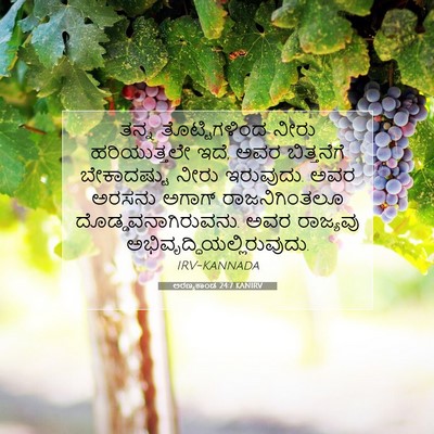 Picture 07 - ಅರಣ್ಯಕಾಂಡ 24:7 KANIRV - ತನ್ನ ತೊಟ್ಟಿಗಳಿಂದ - Bible Verse Picture