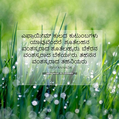 Picture 07 - ಅರಣ್ಯಕಾಂಡ 26:35 KANIRV - ಎಫ್ರಾಯೀಮ್ ಕುಲದ - Bible Verse Picture