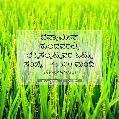 Picture 07 - ಅರಣ್ಯಕಾಂಡ 26:41 KANIRV - ಬೆನ್ಯಾಮೀನ್ - Bible Verse Picture
