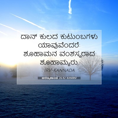 Picture 07 - ಅರಣ್ಯಕಾಂಡ 26:42 KANIRV - ದಾನ್ ಕುಲದ - Bible Verse Picture